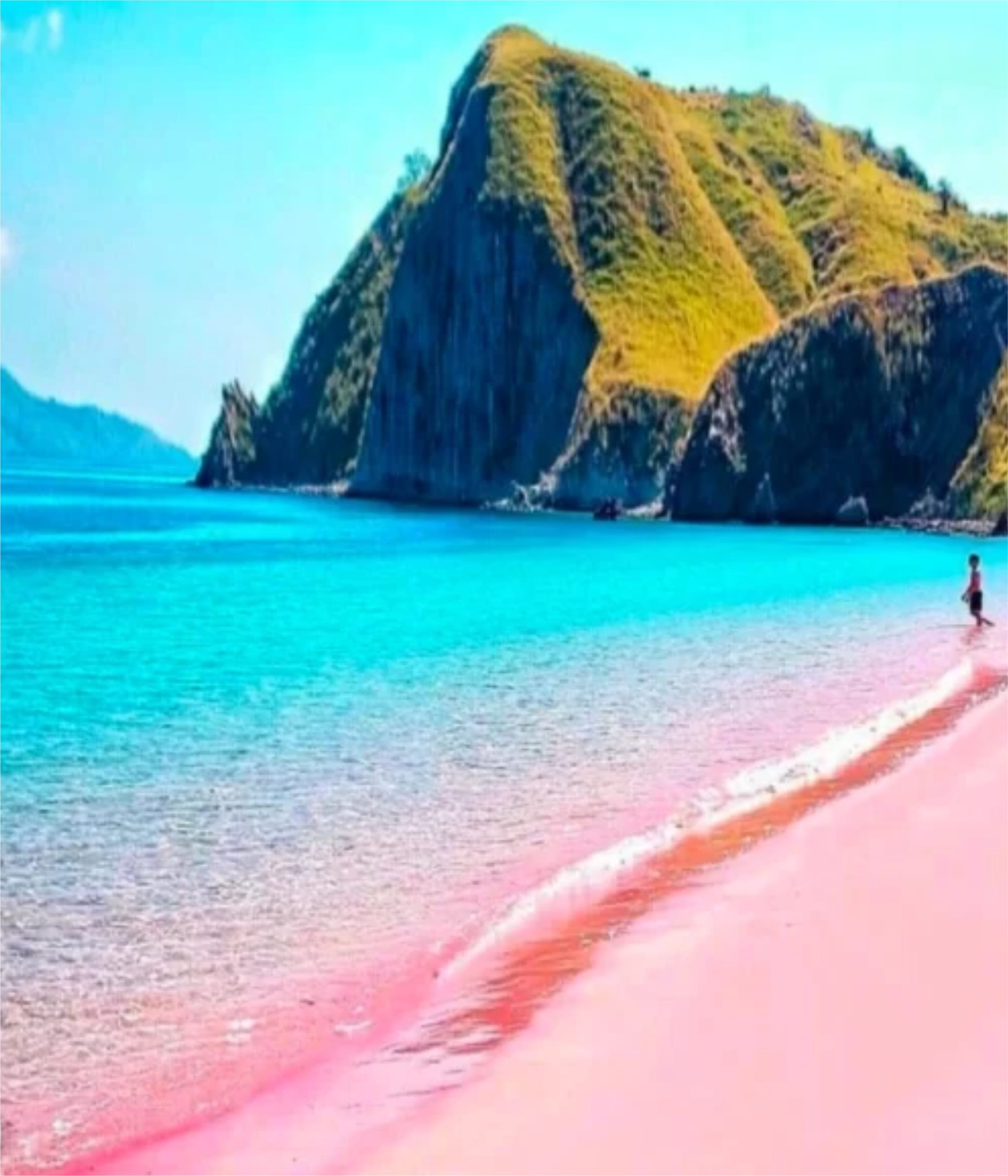 Pantai Pink Pantai Pink